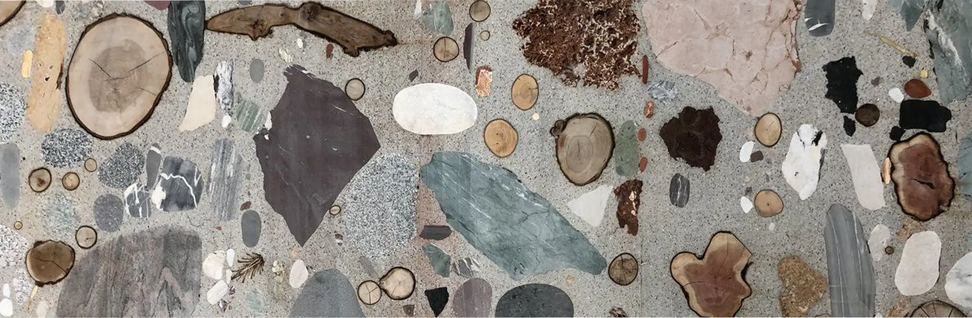 Intro Image